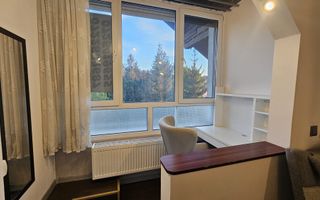 Zona centrala, garsoniera in vila - Poză 7