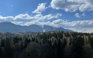 2 camere, intim, semineu, Silver Mountain - Poză 18