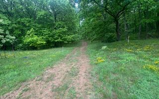 Teren Extravilan 4.572mp | Zonă liniștită | Sadu - Poză 15