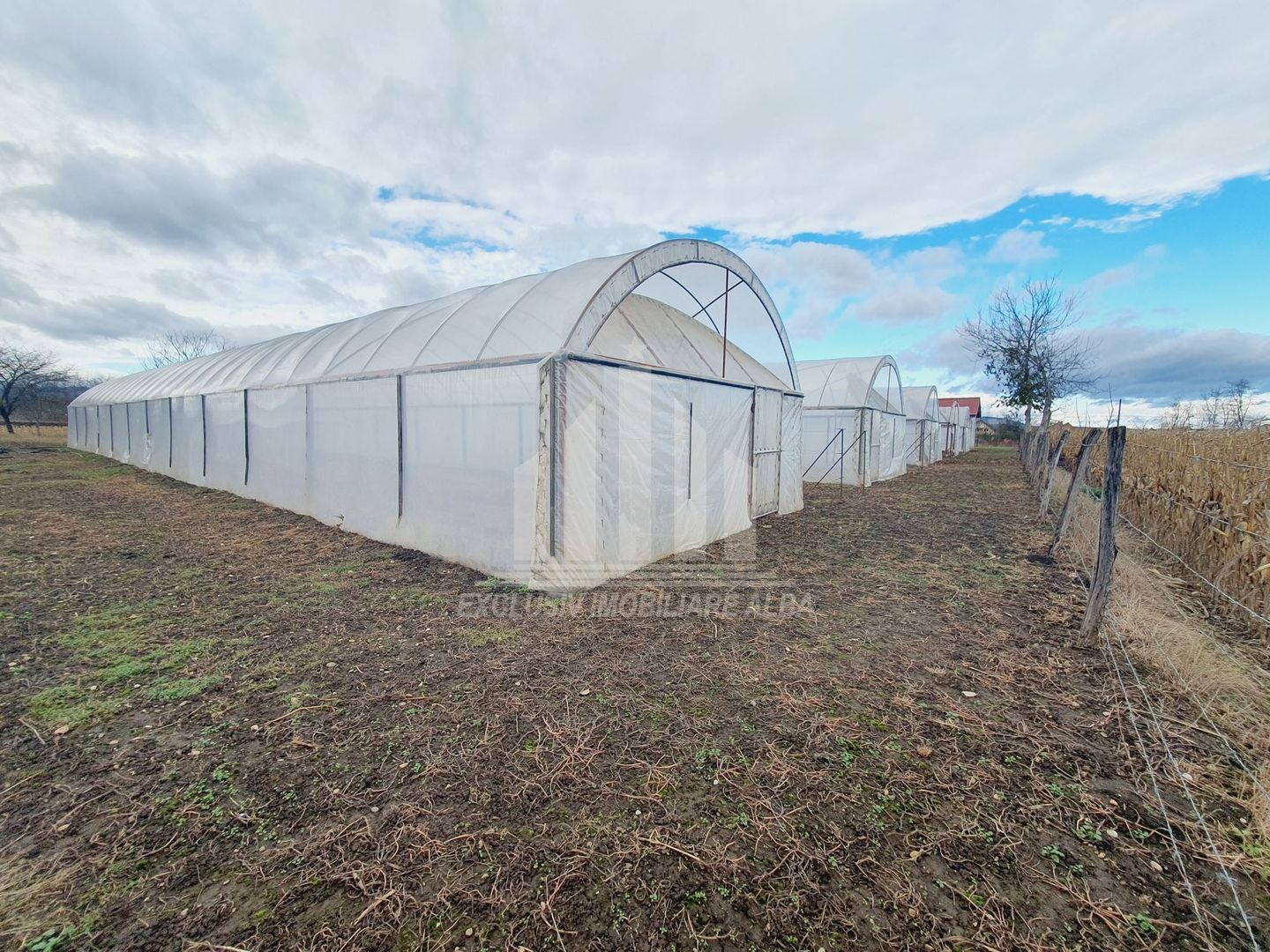 Ferma de vanzare in apropiere de Alba Iulia - Oportunitate de Investitie - Poză 9