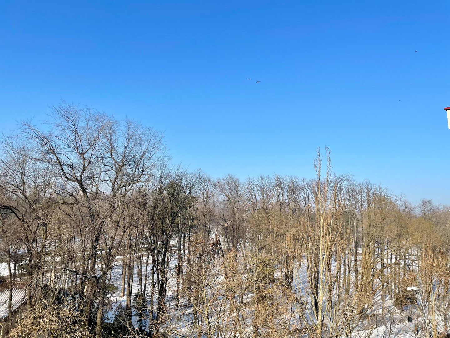 Apartament premium cu vedere spre parc – Soseaua Nordului, Herastrau - Poză 7