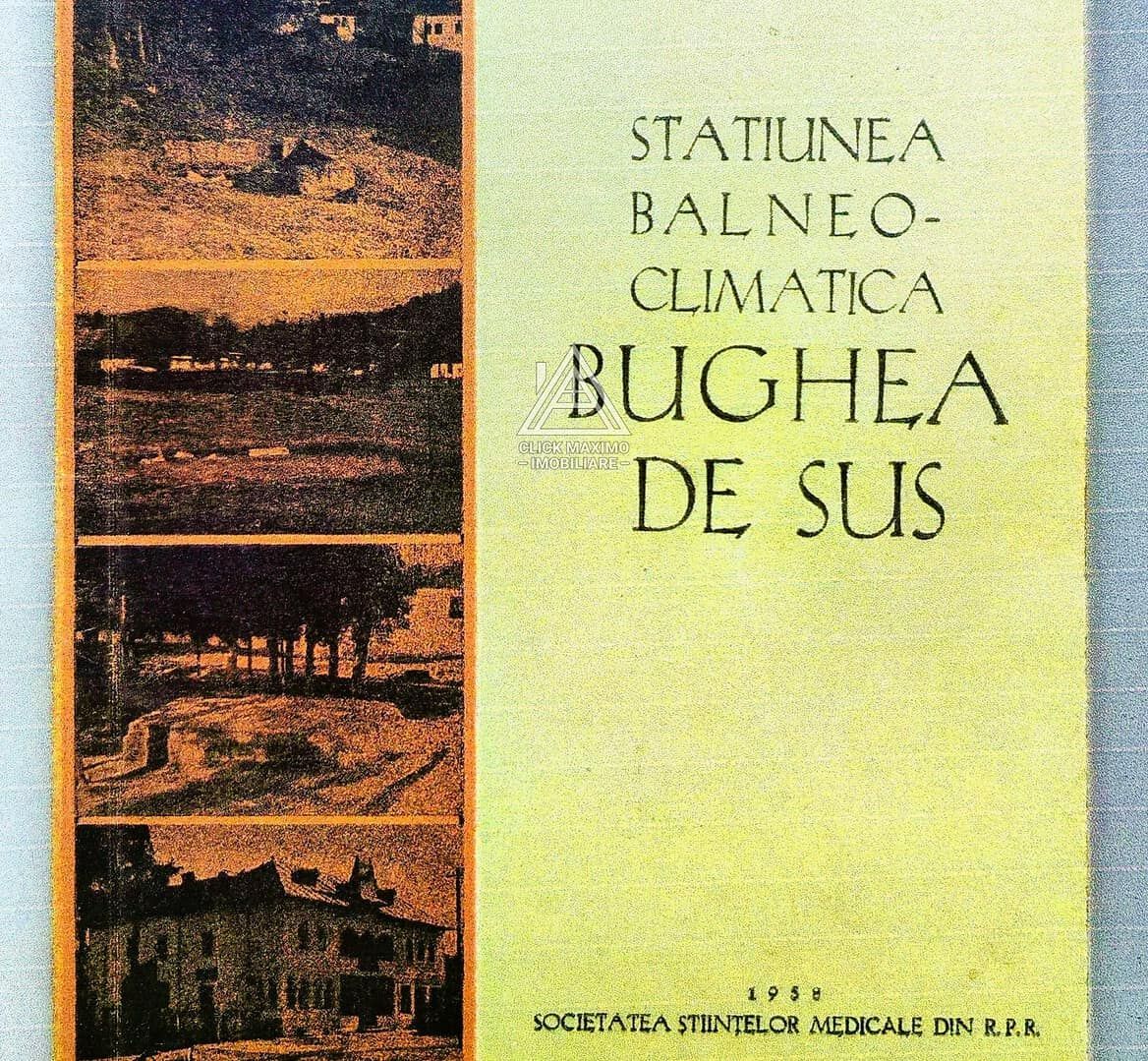 Teren 8 ha cu 15 izvoare minerale, lângă Câmpulung Argeș - Poză 6