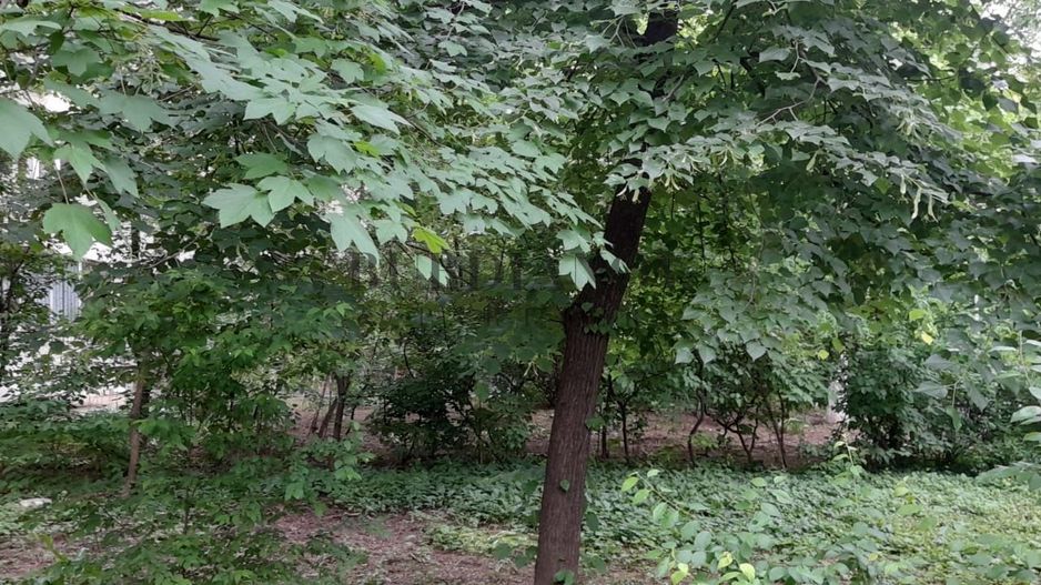 Apartament cu 3 camere de închiriat pentru 2 persoane - Metrou Titan - Poză 4