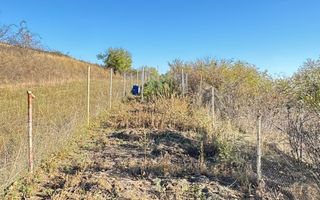🏡 DE VÂNZARE CABANĂ ÎN BĂRĂBANȚ – PREȚ IMBATABIL! - Poză 7