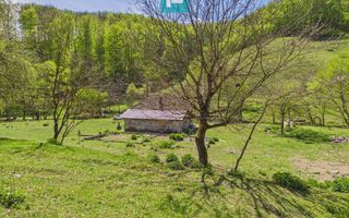 Teren  pentru investiții  în Luncoiu de Jos - Poză 4