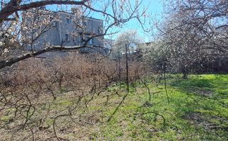 Piata Muncii, Agricultori, teren 569mp, utilitati, pretabil investitie - Poză 4