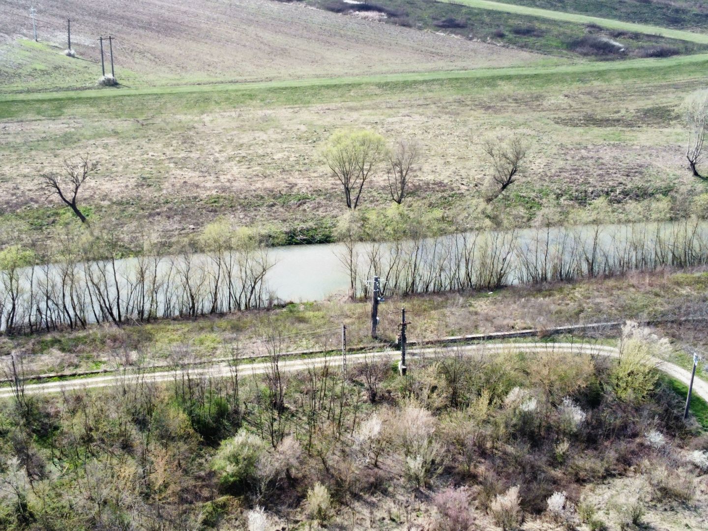 Teren intravilan Balint 22.500 mp - Poză 15