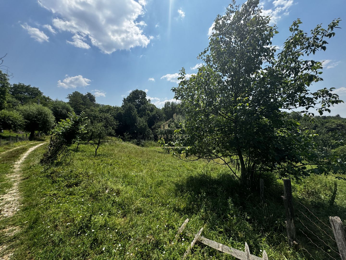 TEREN INTRAVILAN 2146 MP, ALBESTII DE MUSCEL, ARGES - Poză 6