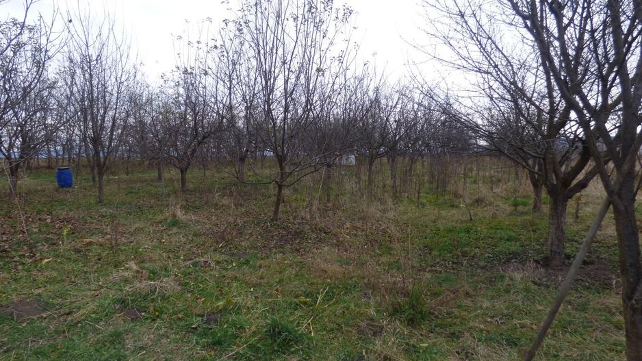 Proprietate deosebita - casa cu curte si livada - Poză 5