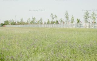 OTOPENI - Aqua Magic, teren intravilan S =  8.000 mp. - Poză 5