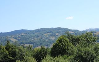 Terenuri Carpinis I parcelabil I Curent pe proprietati - Poză 6