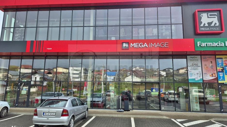 Teren Visan - priveliste deosebita - Poză 3