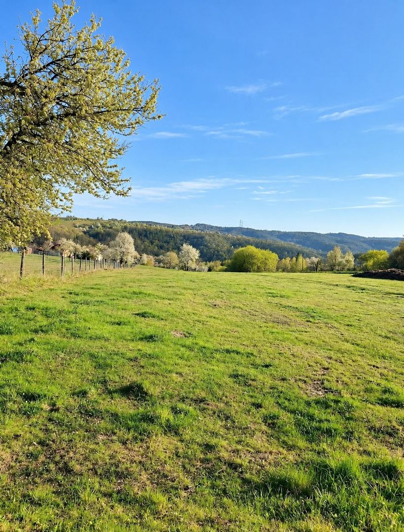 Teren Intravilan  9440mp - Șinteu - Poză 1