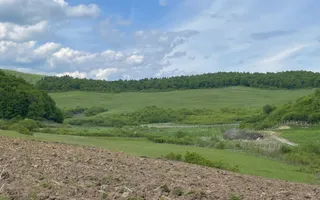 Teren extravilan 10000 mp, Jelna. - Poză 12