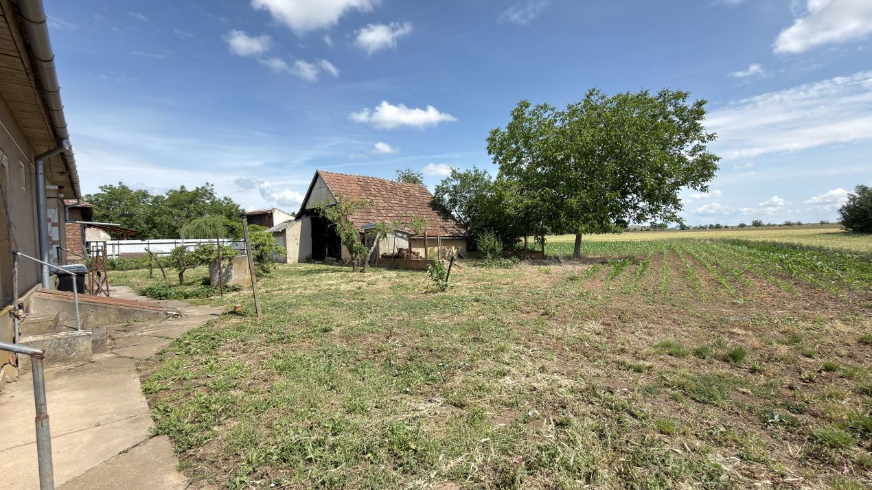 Casă 4 camere, Teren 1955 mp Str. Vezendiului Nr. 366 - Loc. Petrești, Satu Mare - Poză 16