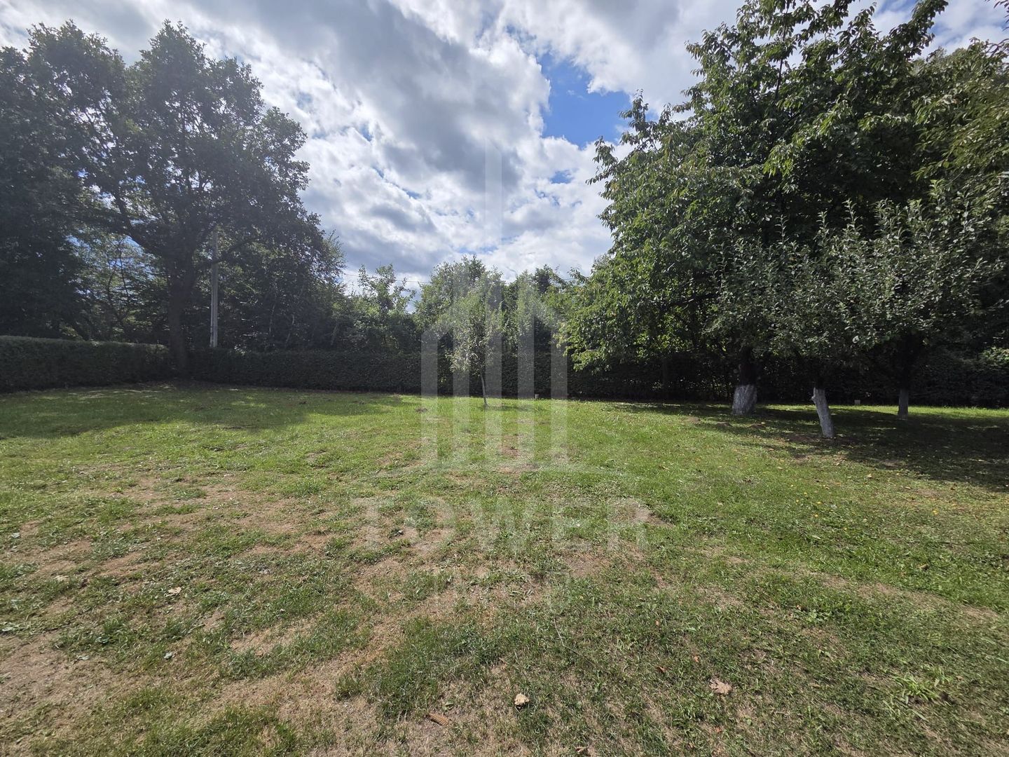 Teren deosebit cu cabană din lemn, Tocile – locație liniștită - Poză 19