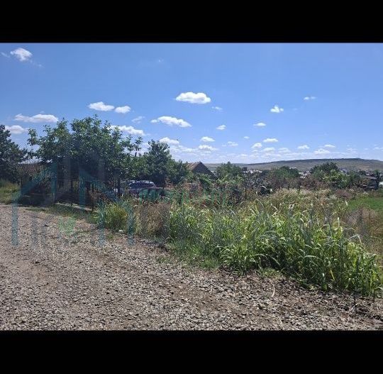 Teren intravilan de 1800 mp în Iași, zona Lețcani - Poză 4