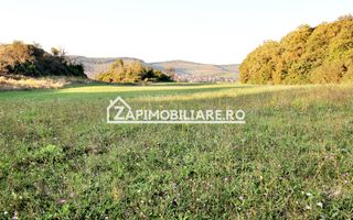 De vanzare 2 terenuri de 29.500 mp si 1.400 mp.29 euro mp - Poză 4
