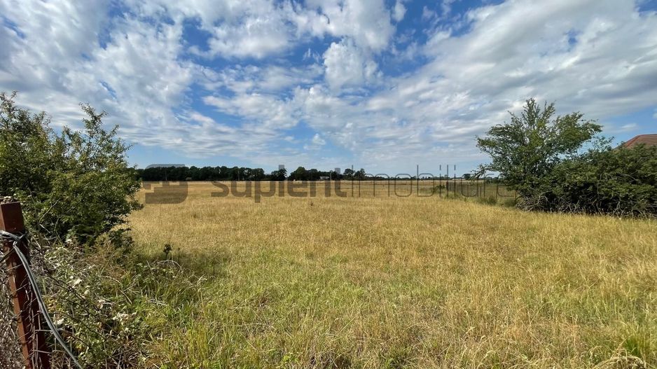 Teren Intravilan 1 ha – Acces Drum Asfalt | Ideal Rezidențial - Poză 4