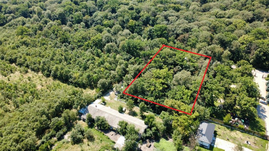 INVESTIȚIE!! Teren intravilan 5.000 mp, zona BĂLTENI - Padure; - Poză 2