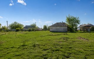 Teren 12 ari pentru casa ta lângă natură | gaz + curent | Isacova (Orhei) - Poză 4
