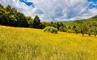 Teren de la 2772 mp Podul Simonului- Bran - Poză 12