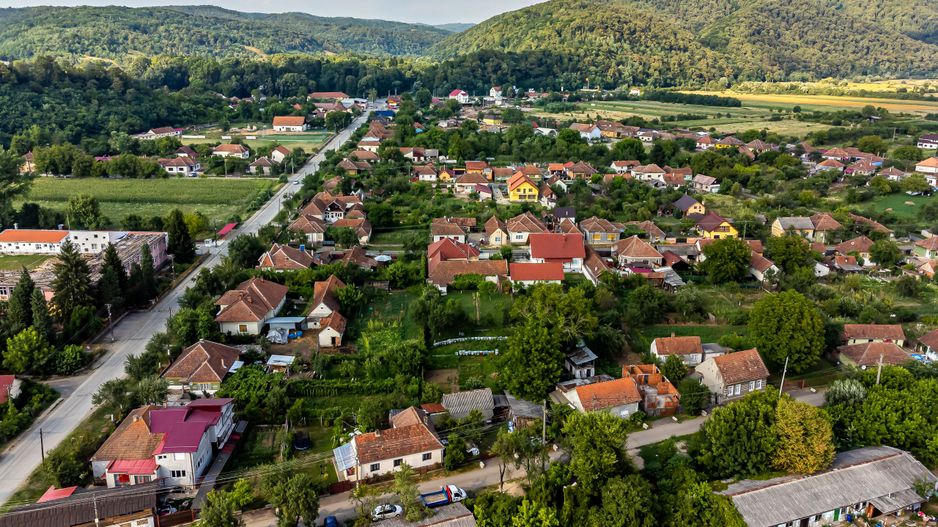 Casă frumoasă la Săvârșin - Poză 8