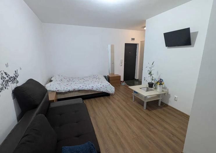 GARSONIERA APARATORII PATRIEI, PET-FRIENDLY, CENTRALA PROPRIE, MOBILAT - Poză 2