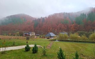 Proprietate cu potențial turistic în zona montană a Țării Lăpușului - Poză 8