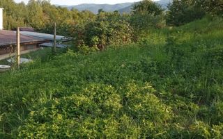 Teren intravilan de vânzare – Cisnădioara | 1.000 mp | Zona Apfelhaus - Poză 1