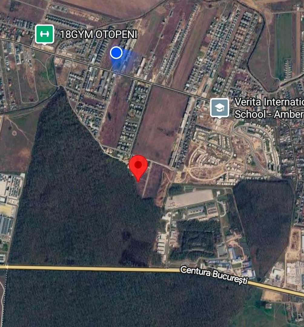 TEREN PREMIUM DE VÂNZARE | TUNARI – PRIMA LINIE LA PĂDURE - Poză 9