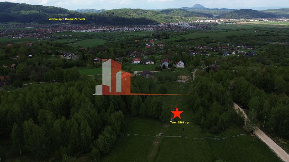 Teren intravilan 5.261 mp Tohănița | Deschidere 49 m | Utilități, lângă pădure - Poză 3