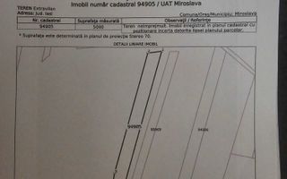Teren extravilan de vânzare, str. Conacului, sat Proselnici, com. Miroslava, Iași - Poză 3