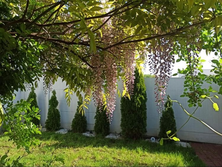 Casă 5 camere Corbeanca aproape de Mall, cu panouri solare, mobilată și utilată - Poză 13