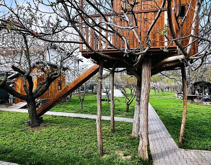 Casa in zona centralain vecinatatea padurii - Poză 6