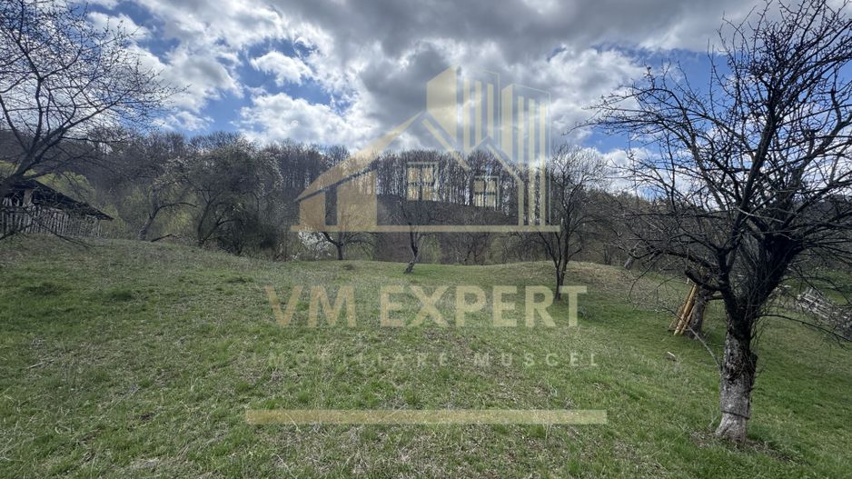 TEREN INTRAVILAN 4365 MP POENARII DE MUȘCEL  JUDEȚUL ARGES - Poză 8