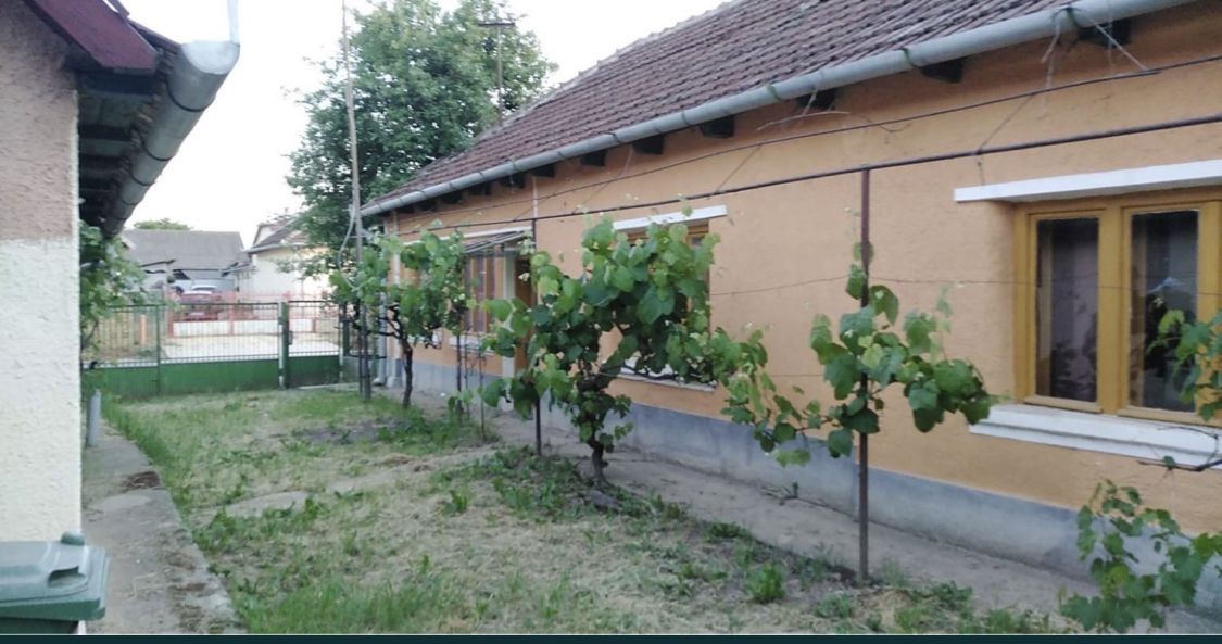 Ocazie Unica-2 Case+1 loc teren - Poză 3