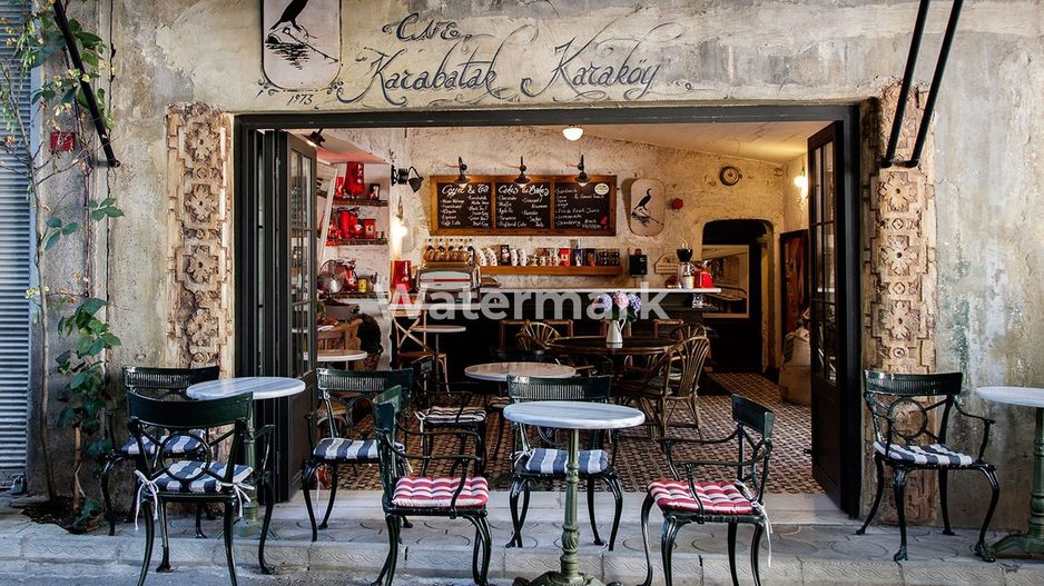 Vila individuala D+P+1+M 380mp utili - Poză 4