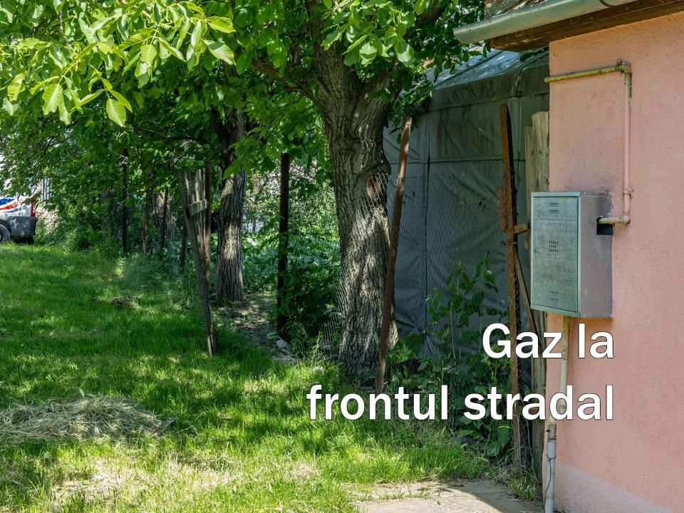 Teren 1.448 mp | Cerneteaz | Strada asfaltata | Utilitati | Comision 0% - Poză 7