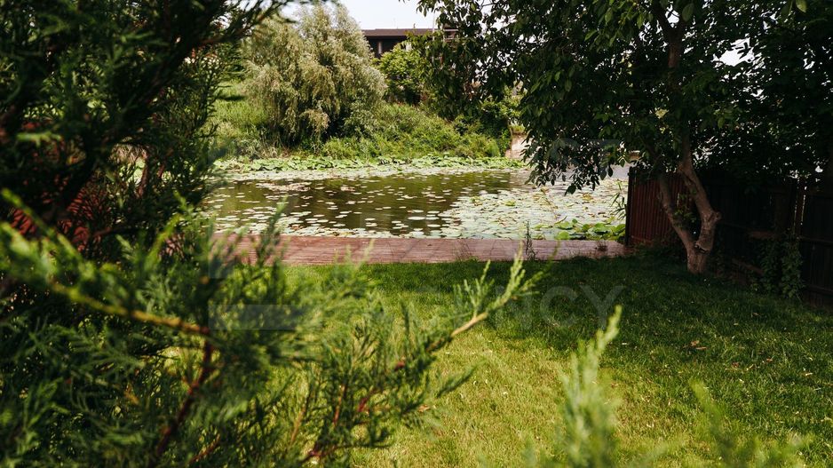 Casa cu piscina si iesire la lacul Snagov, 4 camere - Poză 14