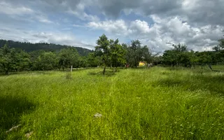 TEREN INTRAVILAN 4600 MP, VOINESTI, LERESTI, ARGEȘ - Poză 13