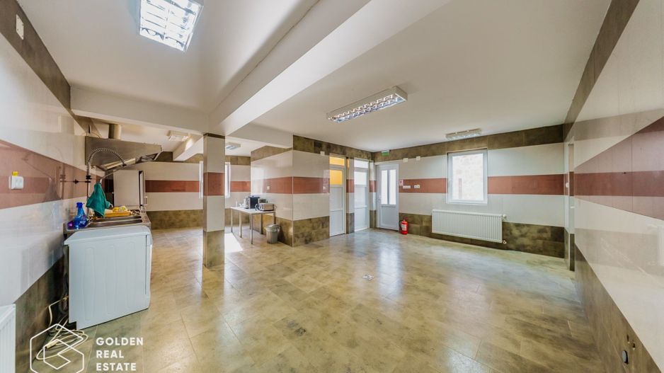 Proprietate pretabila pentru afacere, Cladova - Poză 27