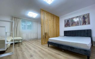 2 camere open space, Premium, Ultracentral - Poză 1