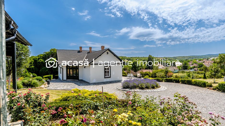 VÂNDUT Visezi la o proprietate unică, plină de istorie și farmec? - Poză 3