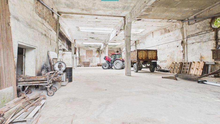 Hală de depozitare 200 mp în Periam - Poză 1