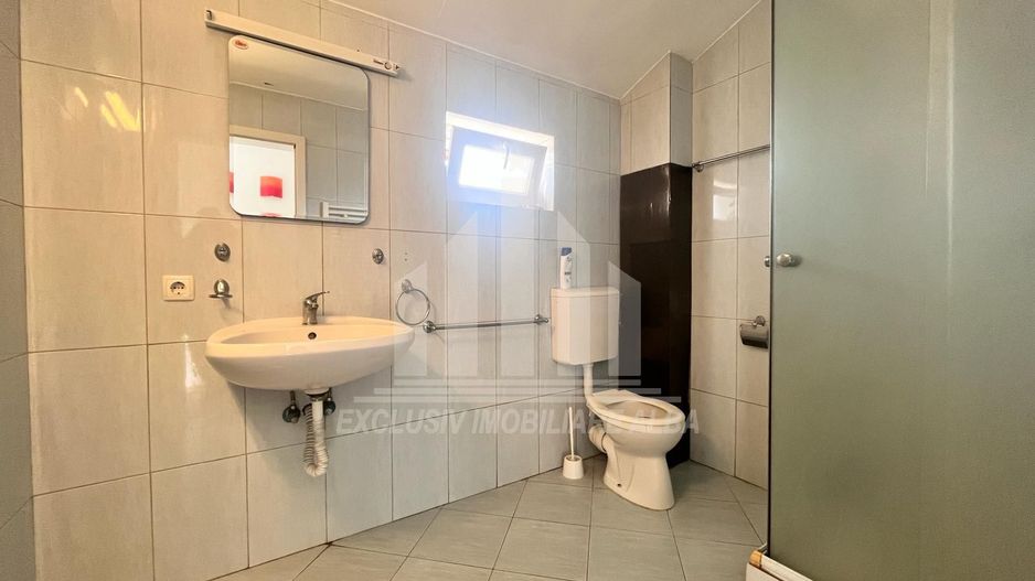 Casa de inchiriat in Cetate - Poză 11