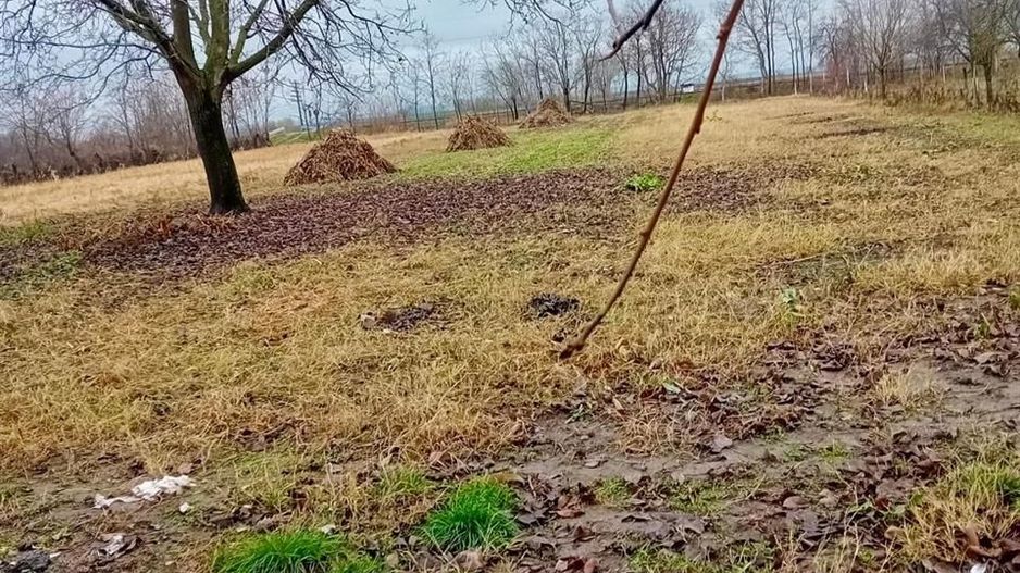 Casa cu 5 camere in localitatea Sacuieni - Poză 10