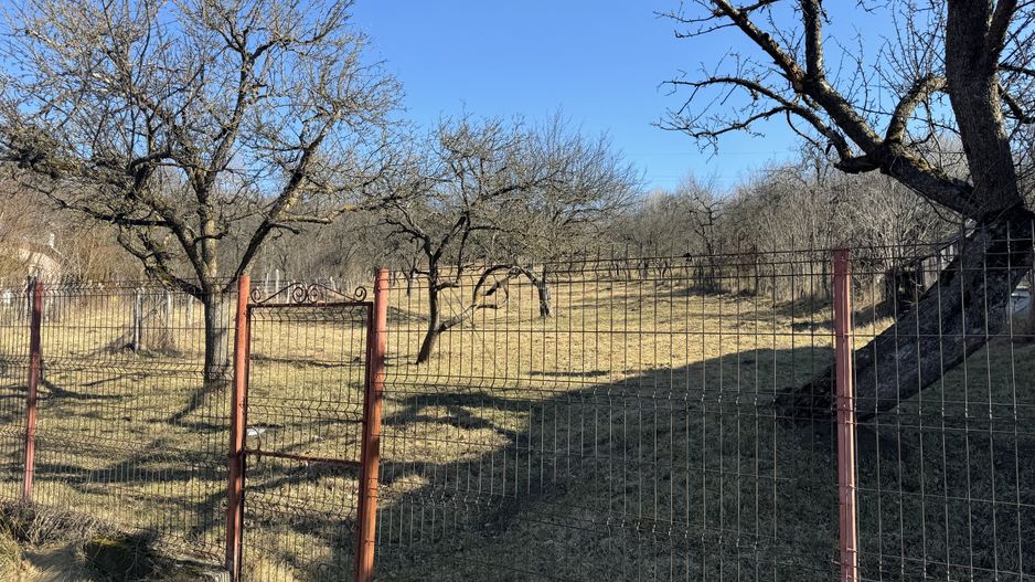 TEREN INTRAVILAN 3400 MP, VOINESTI, LERESTI - Poză 4