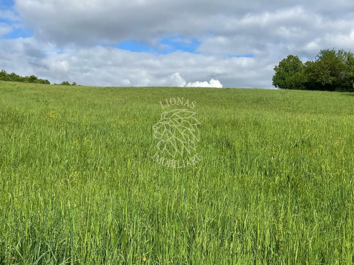 Teren intravilan 631 mp cu utilitati-ideal casa-Sigmir - Poză 1