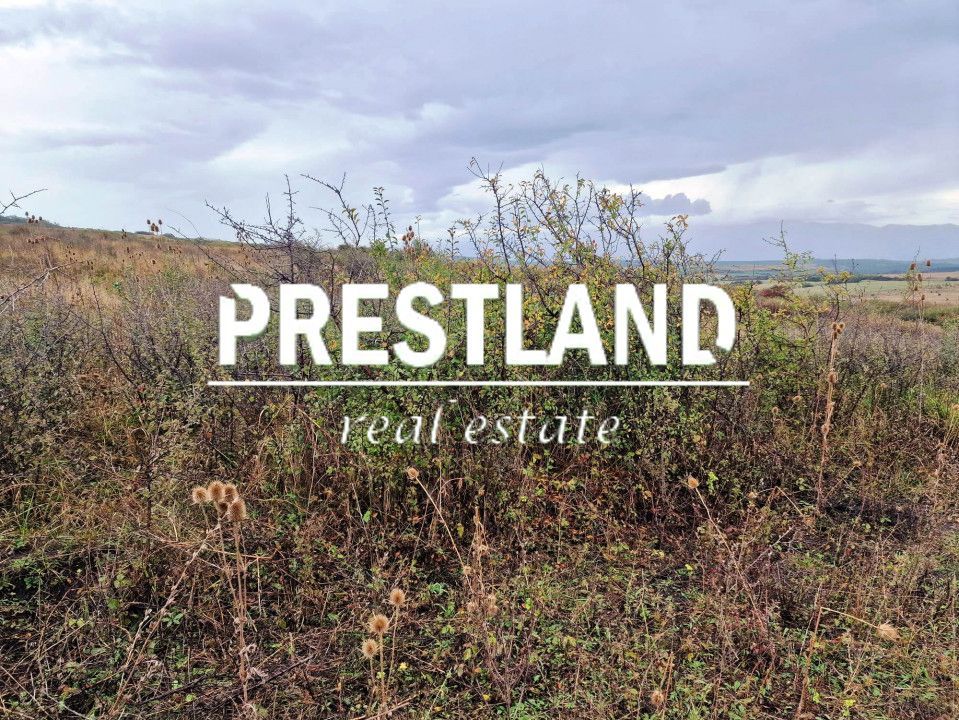 Teren extravilan, pretabil  construcție case/sediu logistic. - Poză 3